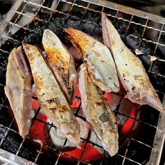 鰹のはらんぼ