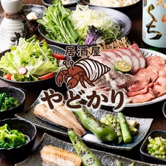 やどかりの写真