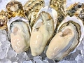 炭火舎 佐助のおすすめ料理1