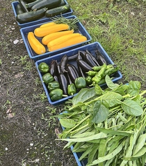 地元、神戸の野菜や食材