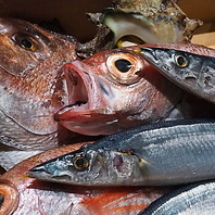 長浜市場より空輸で毎日直送しています◎