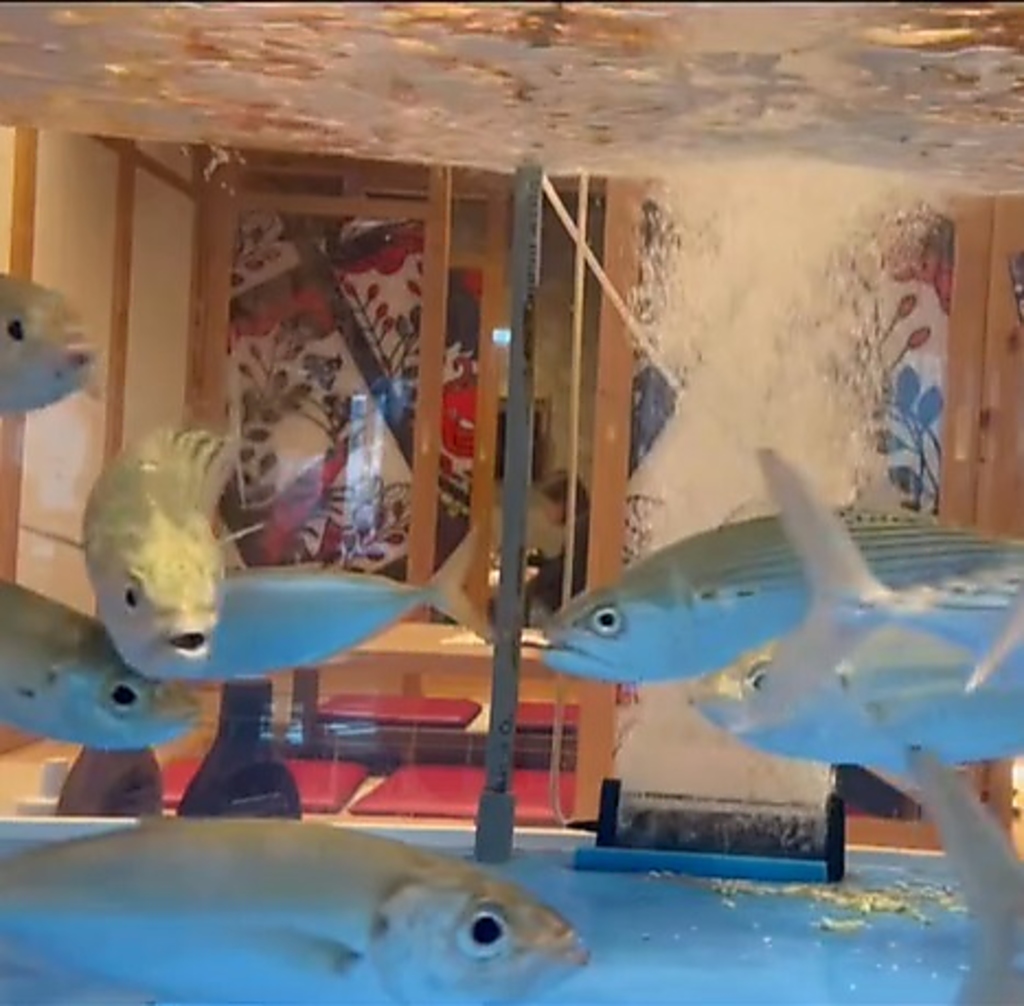 鰓呼吸 名護店の写真ギャラリー