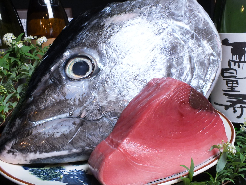 近海のまぐろの兜を入荷！！兜の身はどれも絶品揃い。是非ご堪能ください