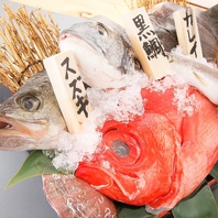 新鮮なお食事をご用意