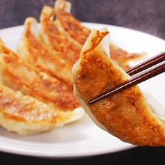 宮崎地鶏の手羽ぎょーざ