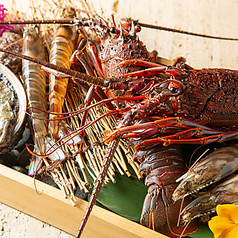 鉄板焼 煌のおすすめ料理2