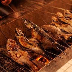 炭火でじっくり焼き上げる鮮魚炉端焼き