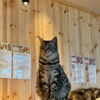 靴下着用をお願いしております