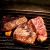 焼肉 天照杉 てるさん