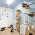 保護猫カフェstellataの雰囲気1