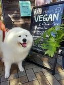 まるごとVeganダイニング浅草の雰囲気2