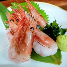 甘エビのお刺身