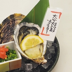大分県大入島オイスター