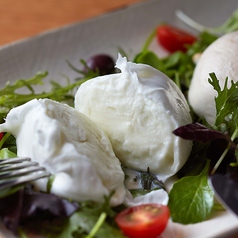 OBIKA MOZZARELLA BAR