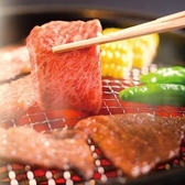 【炭火焼き 肉善】滅多にお目にかかれない、黒毛和牛◆焼肉宴会は“肉善”で決まりです！圧倒的なコスパが自慢♪良質なお肉を驚きの価格でご提供します。宴会利用にも使いやすい、1フロア貸切も◎最大50名様迄のご宴会にあ少部位を食べ比べできるコースもご用意しております！