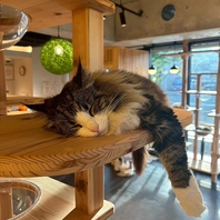 癒しのひとときを与える空間