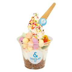 & Yogurt アンドヨーグルト 大宮店のおすすめ料理2