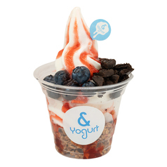& Yogurt アンドヨーグルト 大宮店のおすすめ料理3