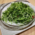 料理メニュー写真 豆苗炒め/干し豆腐とピーマン炒め/マーボー春雨/小松菜炒め
