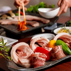 パラム韓の特集写真