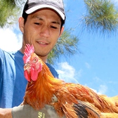 ≪朝〆の新鮮地鶏≫■徳島県・阿波尾鶏　産地直送！朝〆だから旨い極旨地鶏！！極上肉にこだわる『にく久』が扱うのは、日本三大地鶏の1つ徳島県産地鶏「阿波尾鶏」。鮮度抜群、最高品質なので刺しでも炭火でも◎