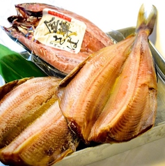 【季節の旬な食材でご提供！】「シマホッケ」「サバ」等の季節で旬な魚の焼き物をご用意しております！の写真