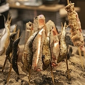 炉端焼きと海鮮とおでん 完全個室居酒屋 吟乃月　有楽町本店の写真