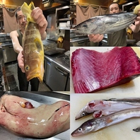 日替わりオススメ鮮魚！2026/02/19 今日のオススメ♪