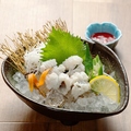 料理メニュー写真 活けハモちり《夏限定のごちそう》