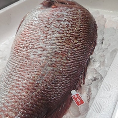 ひめいちえ 松山のコース写真