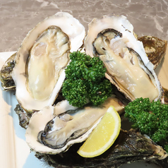 TOMMY CLUB トミークラブウエノ 上野の写真