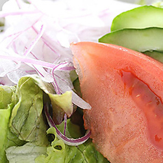 銀座のサラダ ＜お一人様用＞