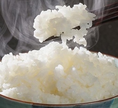 糸魚川産又は三条産のコシヒカリご飯 [お茶碗200g/丼ぶり400g]
