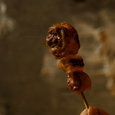 焼鳥 始祖鳥 伏見のおすすめ料理1