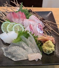 お刺身盛合せ 1人前