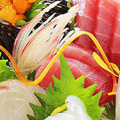 五種盛合せ ＜お一人様用＞