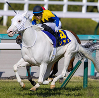 競馬推し！！