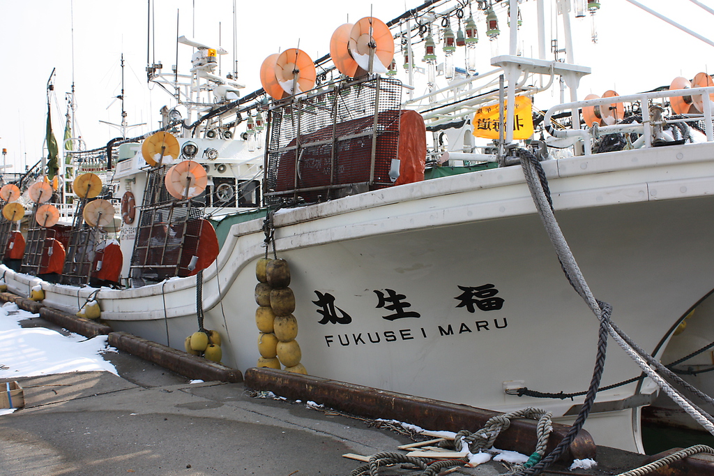 地元で水揚げされる食材にこだわっています！