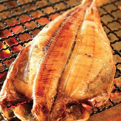 羅臼産根ホッケ焼/羅臼産根ホッケ焼 半身