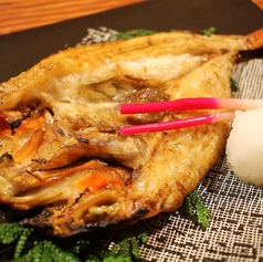 キンキ一夜干し