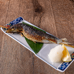 大トロイワシ