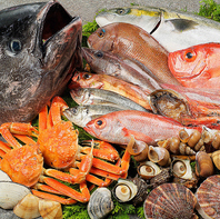 金沢直送！鮮魚の「お造り」で味わう本物の旬と輝き◎