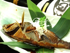 【焼き物】本日の旬魚　焼き魚（肴）