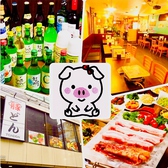 韓国料理 豚どんの詳細