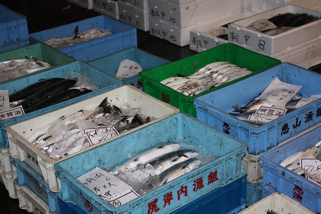 旬の物をご提供！本日のおすすめは要チェックです☆