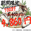 牡蠣ひよっこ商店胡町店