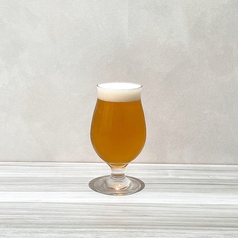 ブルックリン ディフェンダー IPA