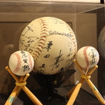 本格地鶏炭火焼き じどり亭しょう