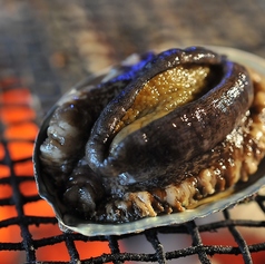 活アワビ焼