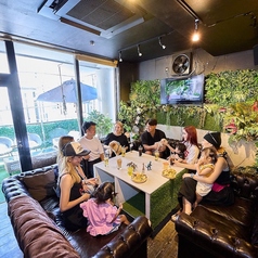 safari サファリの雰囲気2